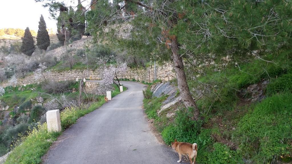 Rosary Sister Guest House Ein Karem Jerusalén Exterior foto