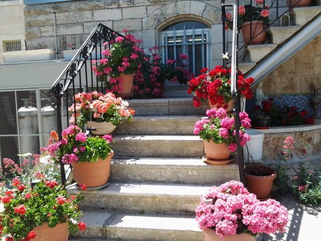Rosary Sister Guest House Ein Karem Jerusalén Exterior foto
